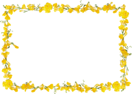 flowers & Floral frame free transparent png image.