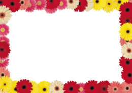 flowers & floral frame free transparent png image.