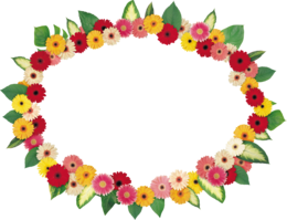 flowers & floral frame free transparent png image.