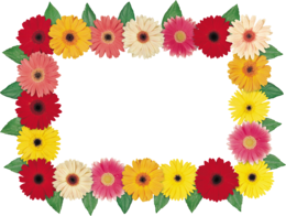 flowers & floral frame free transparent png image.