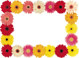 flowers & Floral frame free transparent png image.