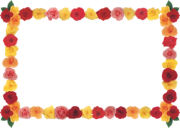 flowers & floral frame free transparent png image.