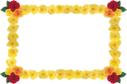 flowers & floral frame free transparent png image.