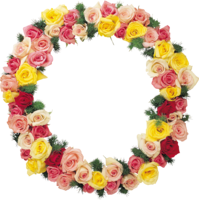 flowers & floral frame free transparent png image.