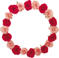 flowers & floral frame free transparent png image.