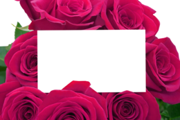 flowers & Floral frame free transparent png image.