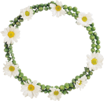 flowers & floral frame free transparent png image.