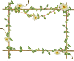 flowers & floral frame free transparent png image.