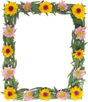 flowers & floral frame free transparent png image.