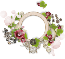 flowers & floral frame free transparent png image.