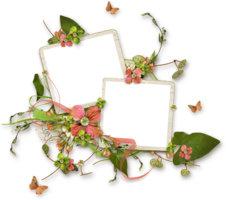 flowers & Floral frame free transparent png image.