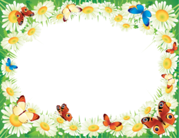 flowers & floral frame free transparent png image.