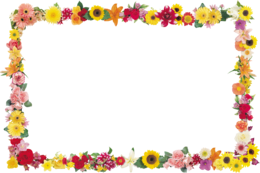 flowers & Floral frame free transparent png image.