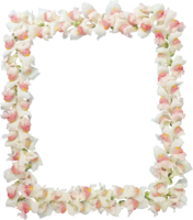 flowers & Floral frame free transparent png image.