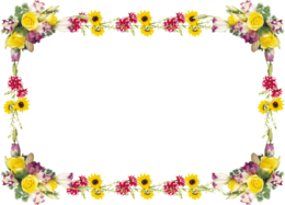 flowers & Floral frame free transparent png image.