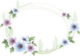 flowers & floral frame free transparent png image.