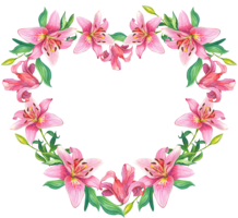 flowers & floral frame free transparent png image.