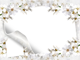 flowers & floral frame free transparent png image.