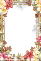 flowers & floral frame free transparent png image.