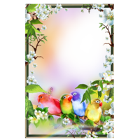 flowers & Floral frame free transparent png image.