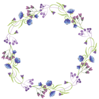 flowers & floral frame free transparent png image.