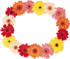 flowers & floral frame free transparent png image.