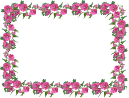 flowers & Floral frame free transparent png image.