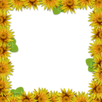 flowers & floral frame free transparent png image.