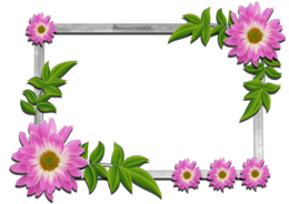 flowers & floral frame free transparent png image.
