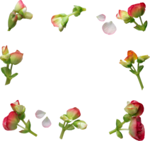 flowers & floral frame free transparent png image.