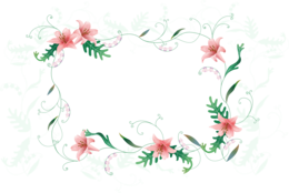 flowers & Floral frame free transparent png image.