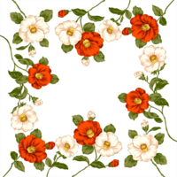 flowers & floral frame free transparent png image.