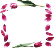 flowers & floral frame free transparent png image.