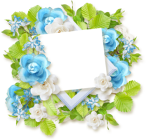 flowers & floral frame free transparent png image.