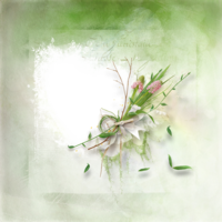 flowers & floral frame free transparent png image.