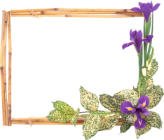 flowers & floral frame free transparent png image.