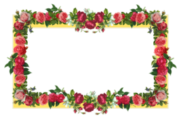 flowers & Floral frame free transparent png image.