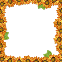 flowers & Floral frame free transparent png image.