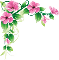 flowers & floral frame free transparent png image.