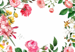 flowers & Floral frame free transparent png image.