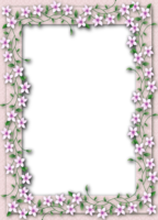 flowers & floral frame free transparent png image.