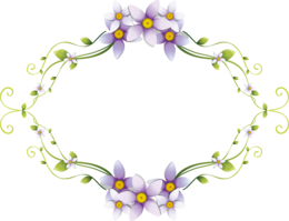 flowers & floral frame free transparent png image.