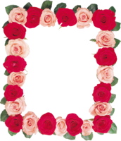 flowers & floral frame free transparent png image.