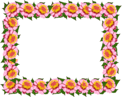 flowers & floral frame free transparent png image.