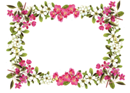 flowers & floral frame free transparent png image.