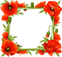 flowers & floral frame free transparent png image.