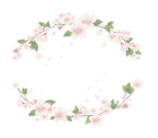 flowers & floral frame free transparent png image.