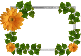 flowers & Floral frame free transparent png image.