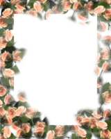 flowers & Floral frame free transparent png image.