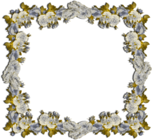 flowers & floral frame free transparent png image.